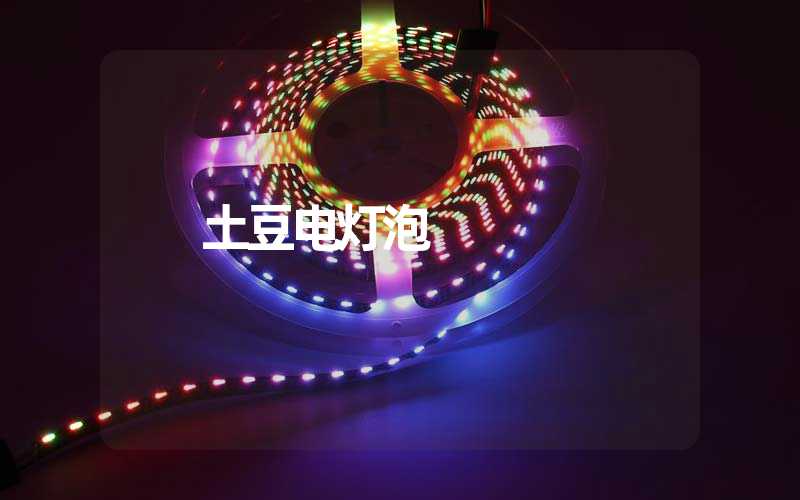 土豆电灯泡 